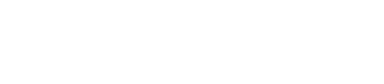 Paywiz